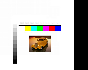 Figure 4 - Auto Color Gain Test Pattern