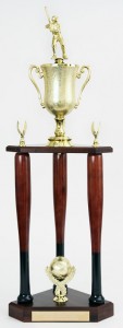 General Digital's softball trophy