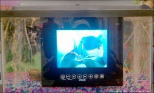 Our 8.4 inch Barracuda Standalone in a fish tank at AUSA 2012
