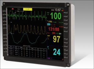 VueSim LCD Monitor